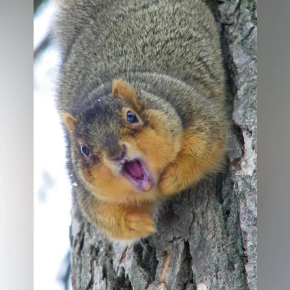 Jill is LIVE! - Picture 12 of 13